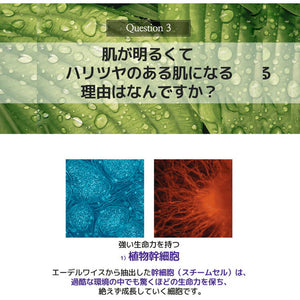 デュイセル プライベート ケアマスク お試し 1枚入り 韓国マスクシート韓国免税店1位韓国ドラックストア1位デュイセル日本上陸 フェイスマスク 化粧品 マスク フェイシャル スキンケア トラブルケア パック シートマスク ギフト